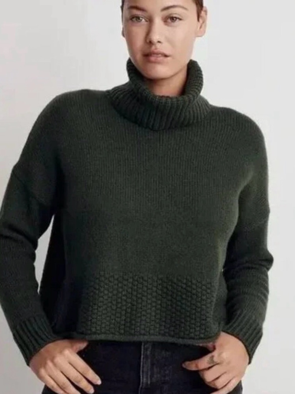 Madewell Sadler Turtleneck Sweater